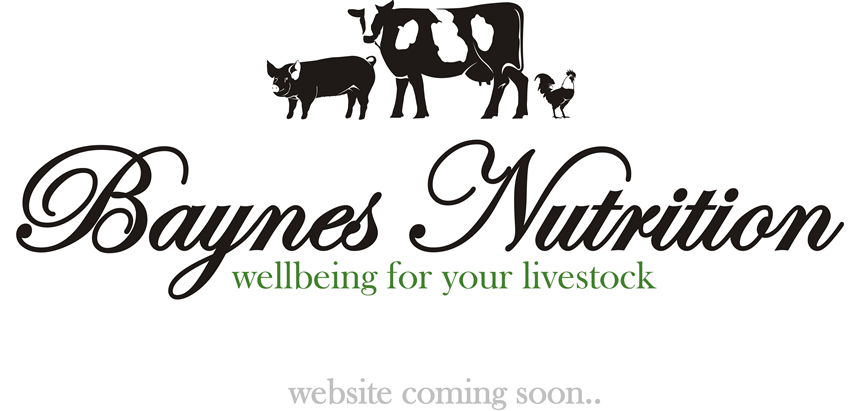 Baynes Nutrition